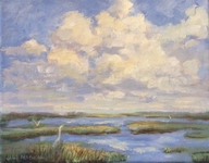 Wetlands View